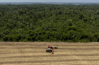 DESAMATAMENTO CAUSA PREJUÍZOS NA AGRICULTURA DA AMAZONIA