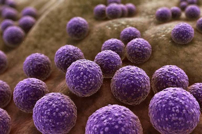 O grupo trabalhou com Staphylococcus aureus， bactérias que podem causar desde infecções cutâneas até pneumonia