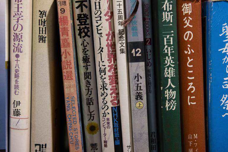 Livros em outros idiomas também podem ser encontrados nas estantes