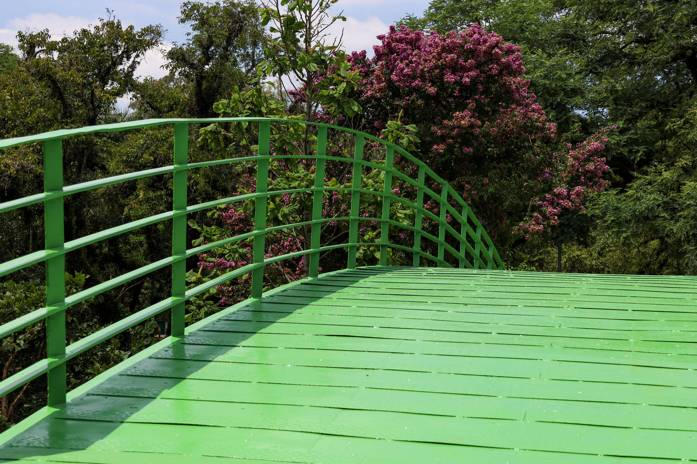 Ponte de Ferro é reaberta no Ibirapuera após restauração