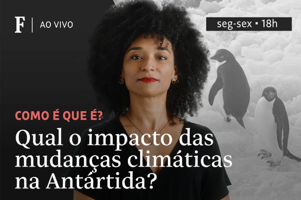 Qual o impacto das mudanças climáticas na Antártida?