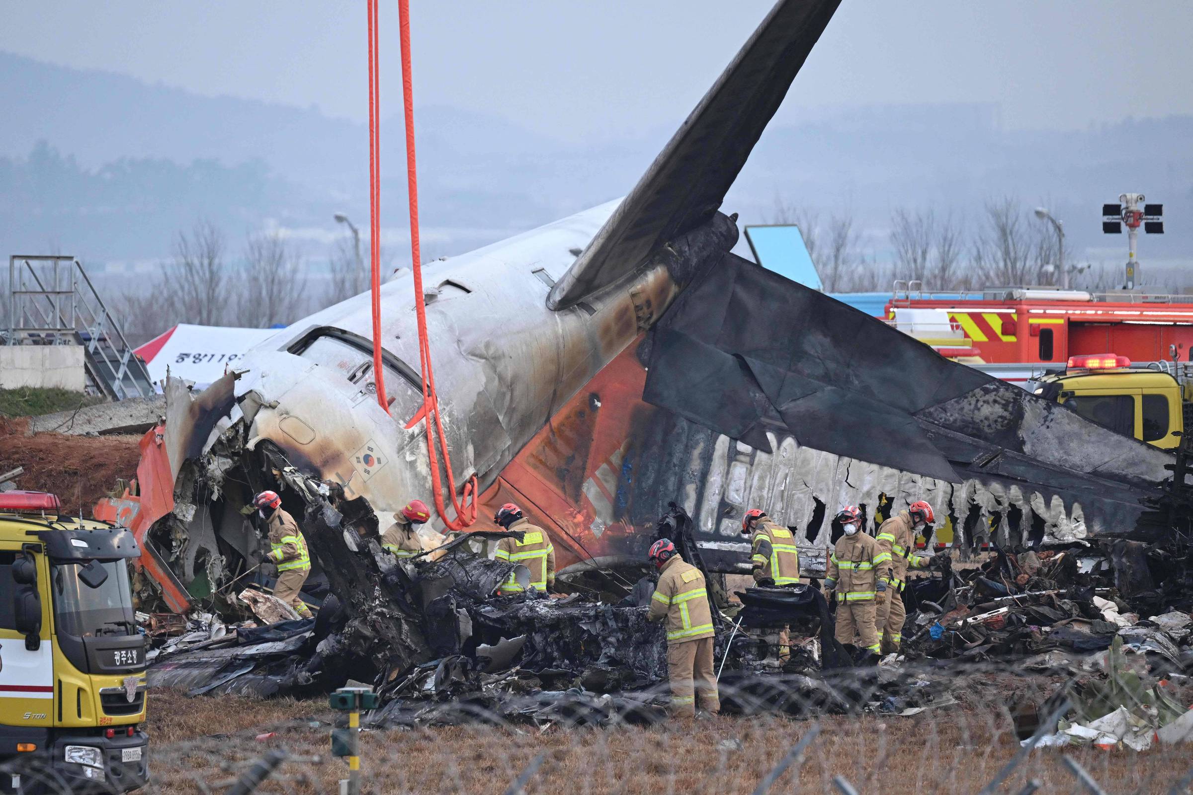 Coreia do Sul acha DNA de pato em motores de avião que explodiu e matou 179