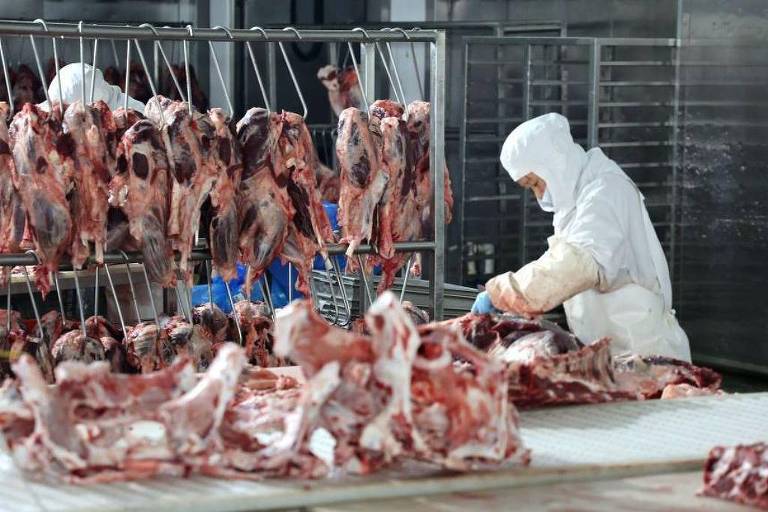 A imagem mostra um ambiente de processamento de carne， com várias carcaças penduradas em ganchos ao fundo. Um trabalhador， vestido com um traje de proteção branco， está cortando carne em uma mesa. O ambiente parece ser uma câmara fria， com prateleiras e equipamentos de processamento visíveis.