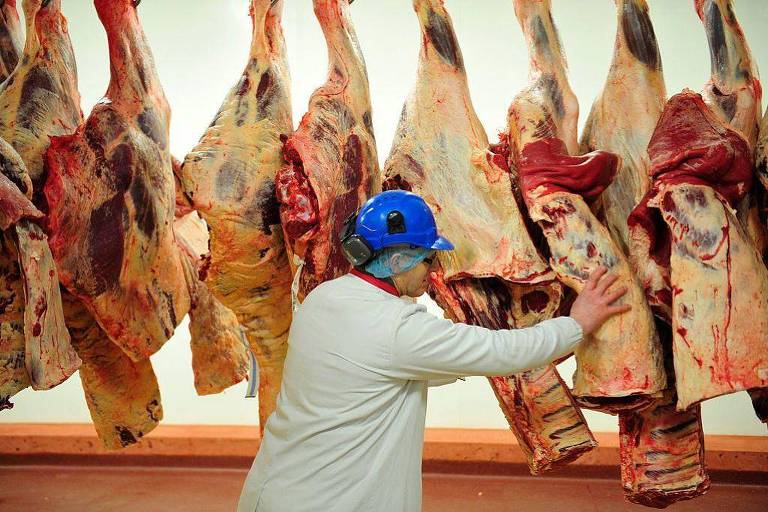 Um trabalhador em um frigorífico está inspecionando cortes de carne pendurados. Ele usa um capacete azul e uma roupa branca. As carcaças de carne estão penduradas em ganchos ao fundo， com uma aparência fresca e sanguinolenta.