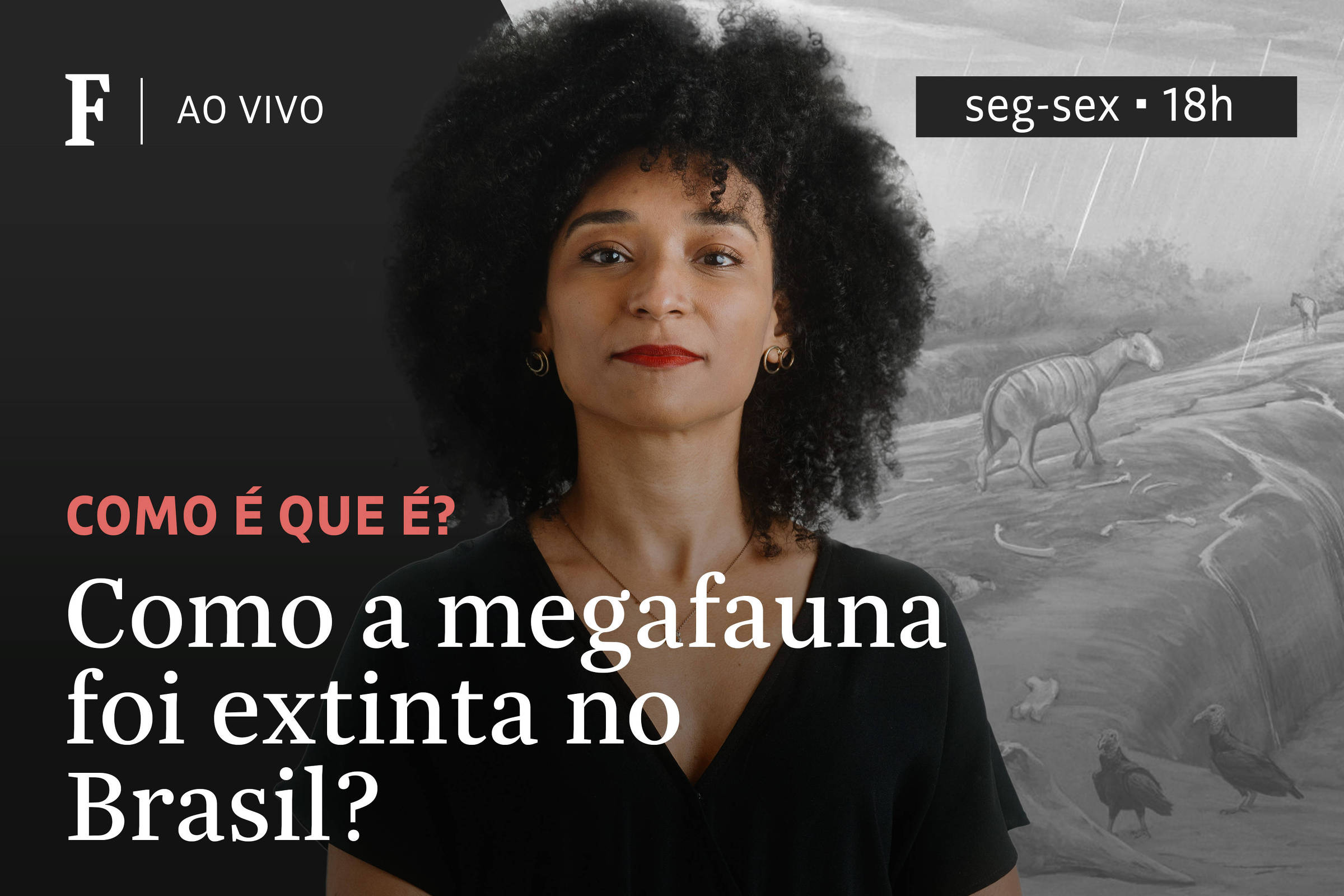 Como a megafauna foi extinta no Brasil?