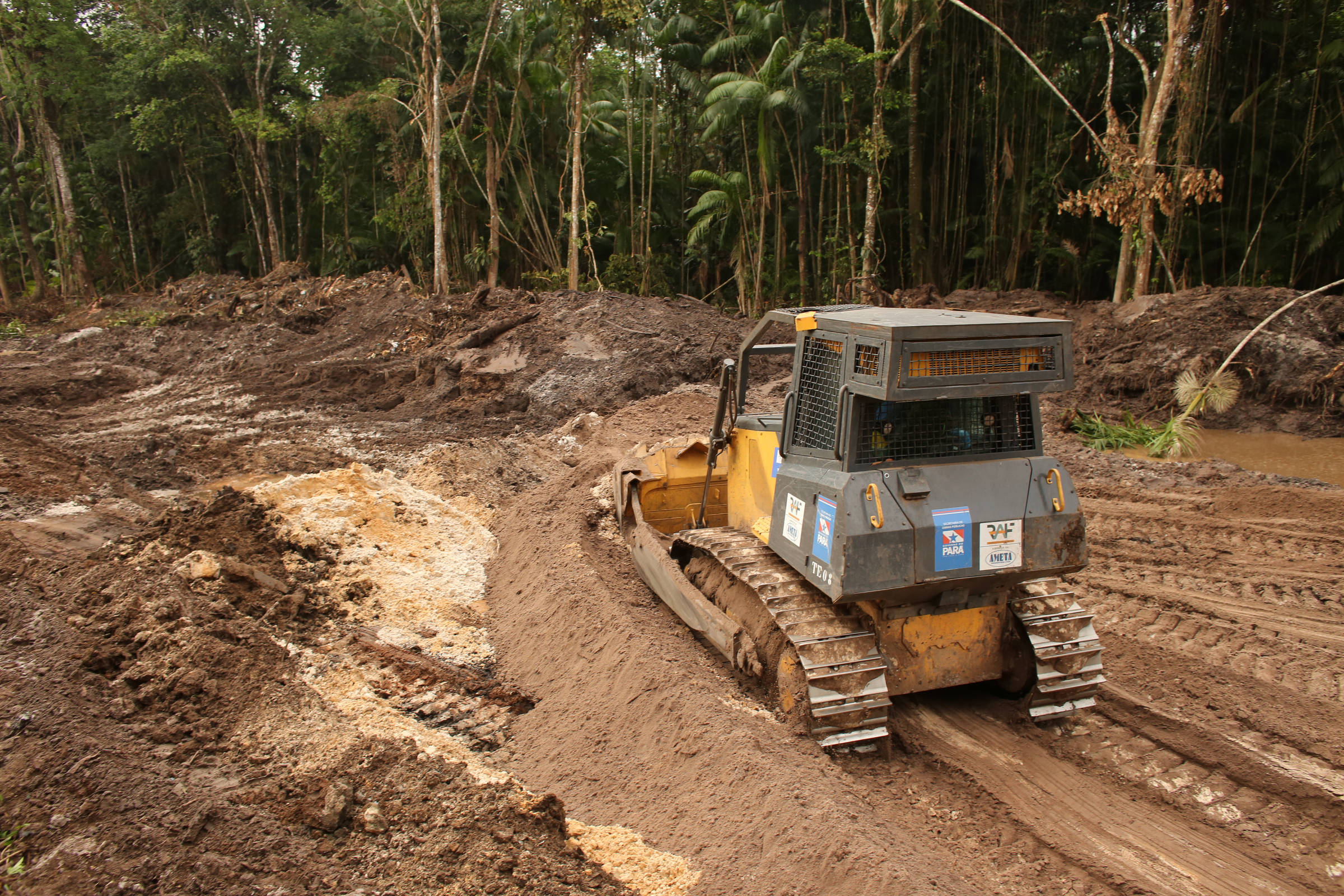 BNDES diz que ainda não autorizou recursos a obra da COP30 que impacta espécies ameaçadas