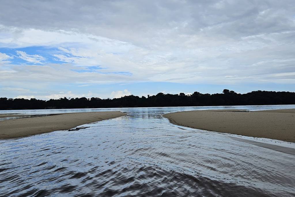 Como conhecer Anavilhanas, 2º maior arquipélago fluvial do mundo, gastando menos