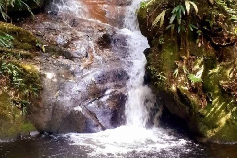 A imagem mostra uma cascata de água caindo sobre rochas em um ambiente natural. A água é clara e forma espuma ao atingir a superfície de um pequeno lago na parte inferior. Ao redor, há vegetação densa, incluindo plantas verdes e musgos que cobrem as rochas.