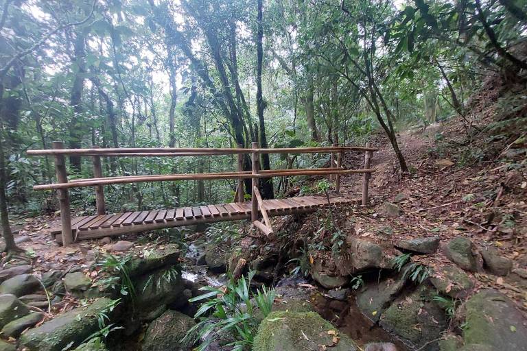 Ponte de madeira sobre curso d039;água em trecho da trilha que leva à Pedra Lisa， no Parque Estadual Serra do Mar