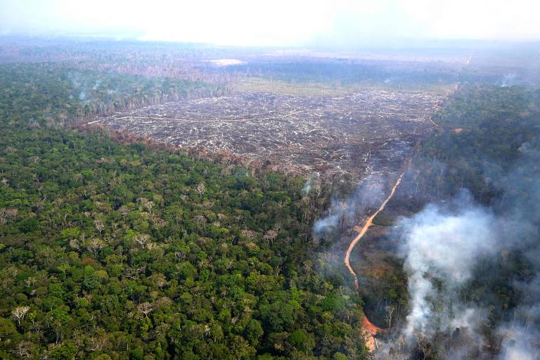 Imagem aérea da Floresta Amazônica， mostrando uma vasta área de vegetação densa à esquerda e uma área desmatada à direita， com fumaça visível. Um caminho de terra é visível na área desmatada， e ao fundo， há uma extensão de água