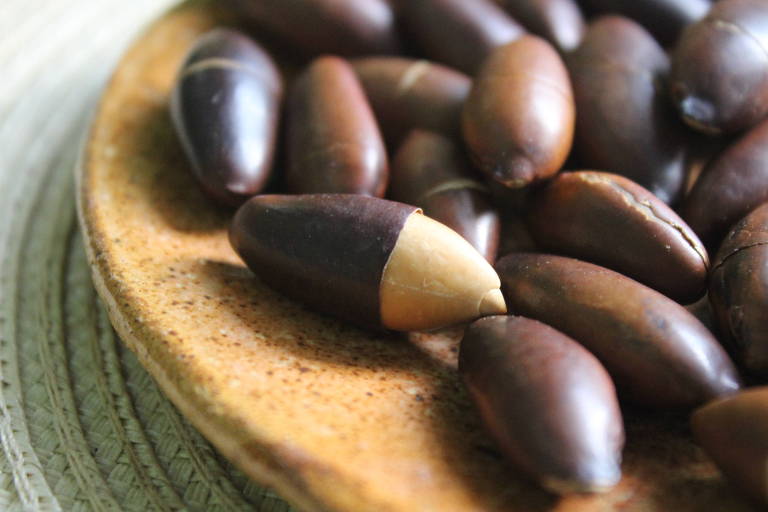 A imagem mostra um prato de cerâmica com várias sementes marrons， algumas com uma parte clara. As sementes têm formas alongadas e variam em tonalidade， com algumas apresentando uma superfície brilhante. O fundo é desfocado， destacando as sementes no prato.