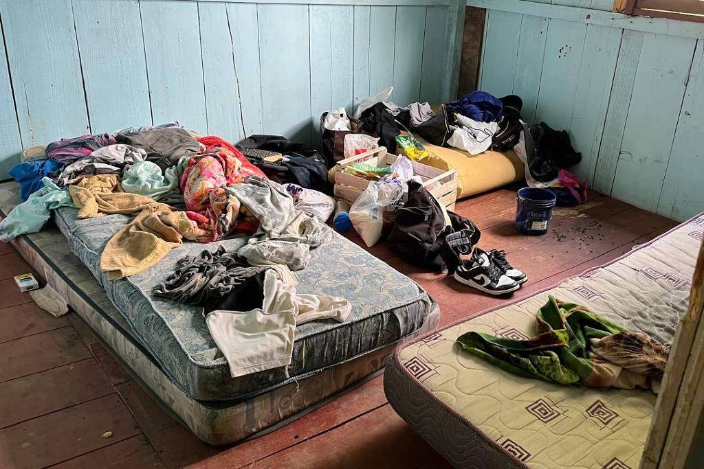 Uma elite que sabe muito, mas entende pouco