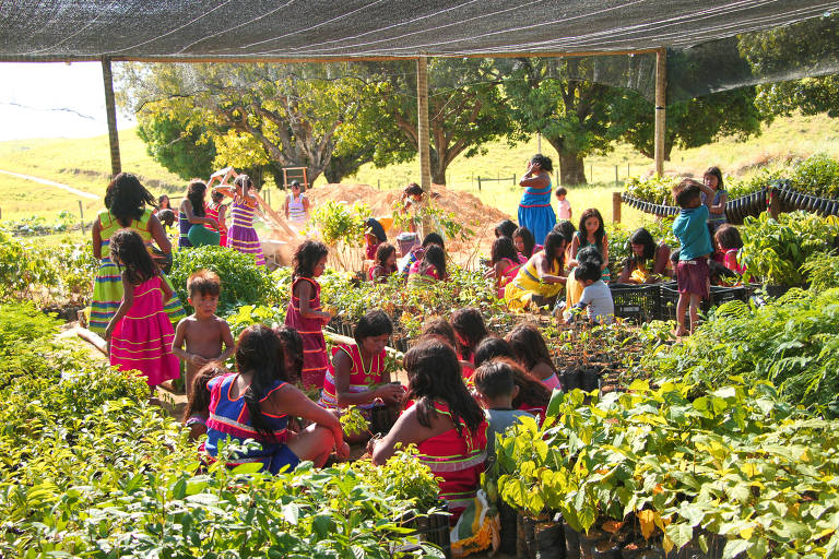 Pessoas em uma tenda ao lado de mudas de plantas