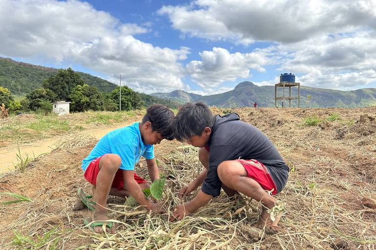 Duas crianças plantam muda na terra