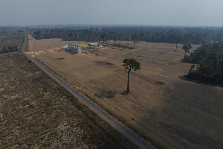 A imagem mostra uma vasta área rural desmatada com um campo seco e uma estrada que se estende ao longo do lado esquerdo. No fundo， há uma construção simples e uma árvore solitária em destaque. O céu está nublado， e a vegetação ao redor parece escassa.