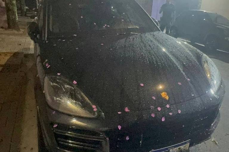 A imagem mostra um carro preto estacionado à noite， com iluminação artificial ao fundo. O carro está em uma calçada， e há algumas flores em primeiro plano， possivelmente caídas de um vaso. A cena é iluminada por luzes de postes e outras fontes de luz ao redor