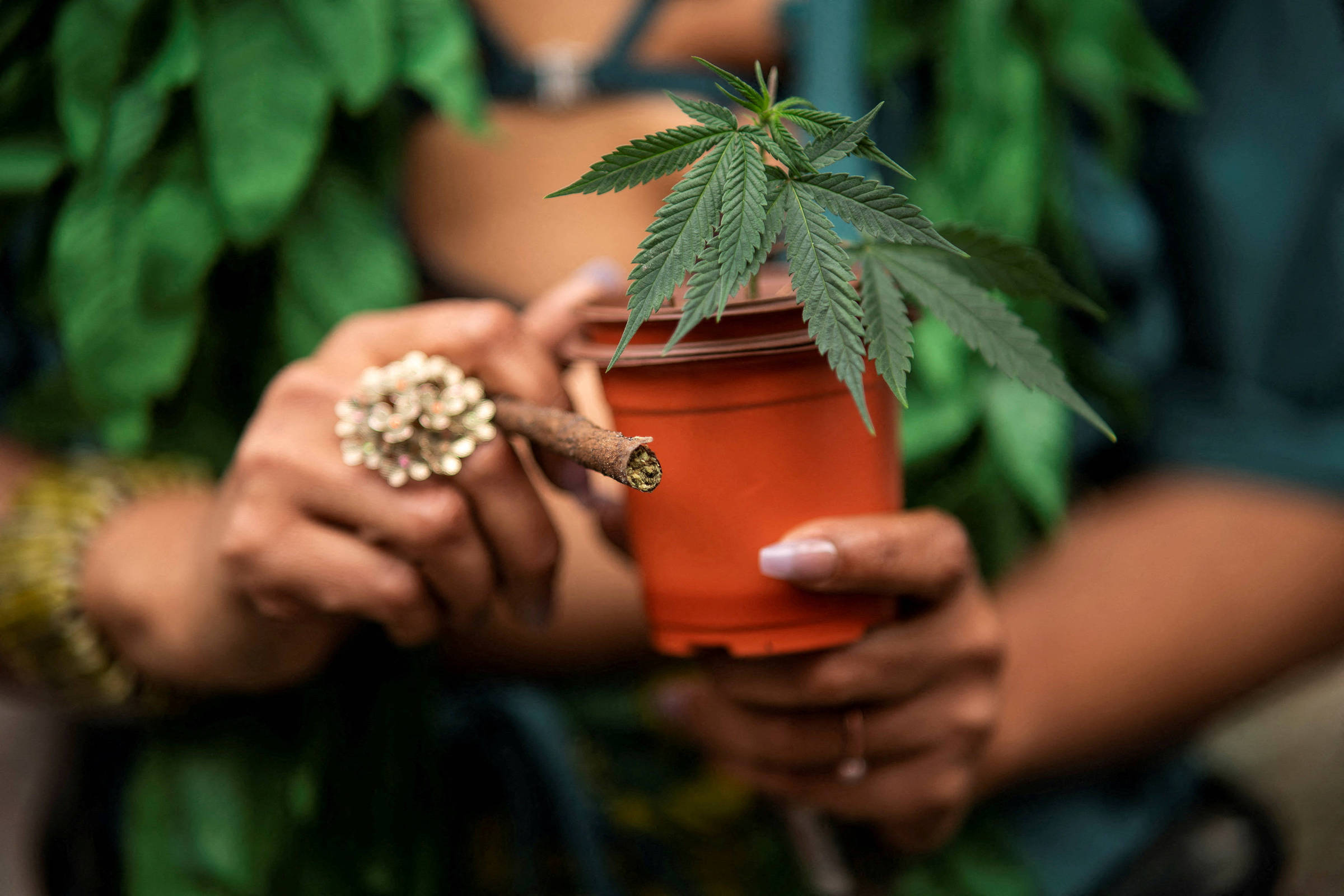 Uso de maconha em casa aumenta intoxicação de crianças expostas, mostra estudo