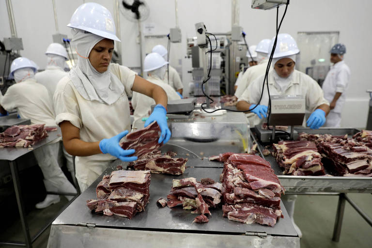 A imagem mostra um ambiente de trabalho em uma indústria de carnes， onde várias pessoas estão processando carne. Duas mulheres estão em primeiro plano， usando luvas azuis e toucas brancas， manipulando pedaços de carne em uma mesa de trabalho. Ao fundo， outras pessoas também estão envolvidas em atividades semelhantes， com equipamentos e mesas de trabalho ao redor.
