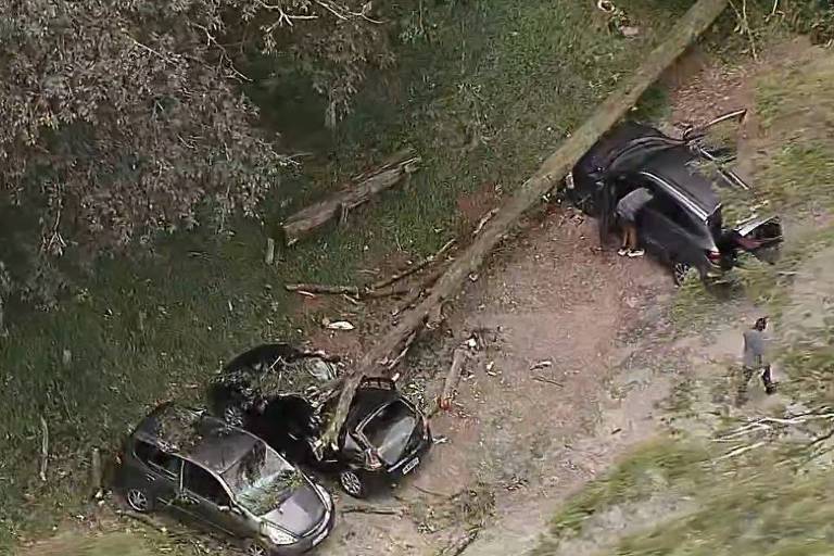 A imagem mostra um acidente de carro onde dois veículos estão danificados sob uma árvore caída. Um dos carros está parcialmente coberto por galhos e folhas， enquanto uma pessoa está próxima a um dos veículos， aparentemente inspecionando os danos. O local é cercado por vegetação e há detritos no chão.