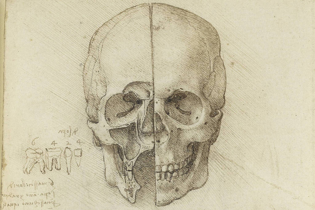 Estudos de anatomia humana de Leonardo da Vinci ainda não têm o devido reconhecimento