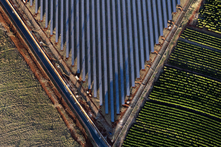 A imagem mostra uma vista aérea de campos agrícolas dispostos em linhas retas. À esquerda， há um campo com fileiras de plantas verdes， enquanto à direita， um campo com fileiras de plantas em um solo mais escuro. No centro， há uma área de água refletindo a luz， delimitada por linhas de cultivo.
