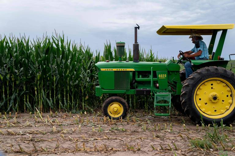 A imagem mostra um trator verde e amarelo， modelo John Deere， posicionado ao lado de um campo de milho alto. O trator está em uma área de solo exposto， com algumas plantas de milho visíveis ao fundo. O céu está nublado， sugerindo um clima possivelmente chuvoso.
