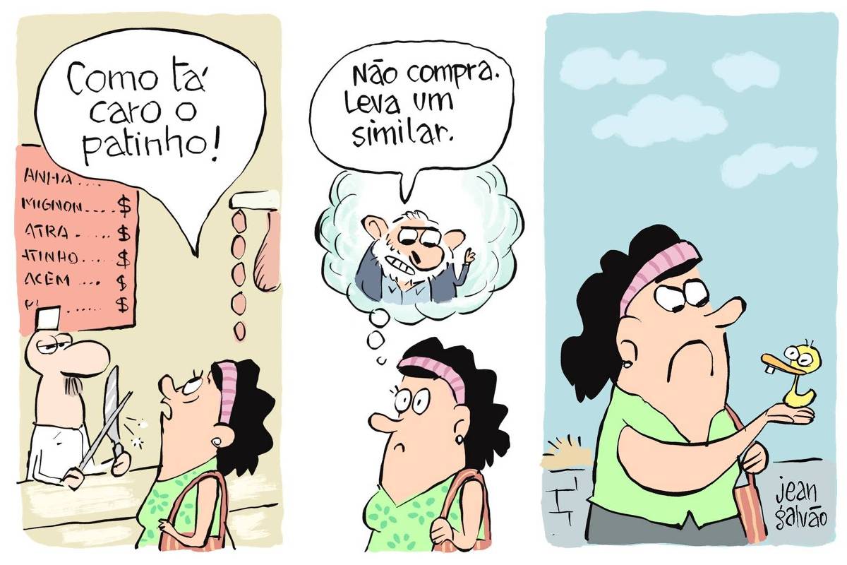 Charge de Jean Galvão é dividida em três quadros. No primeiro, uma mulher de cabelo preto, faixa rosa na cabeça e vestindo um vestido verde de bolinhas está em um açougue. Ela olha indignada para o preço da carne no quadro de preços atrás do açougueiro, que amola uma faca, e exclama: “Como tá caro o patinho!”. No segundo  quadro, a mulher aparece pensativa, com uma nuvem de pensamento na qual aparece o presidente Lula, que aconselha: “Não compra. Leva um similar”. No terceiro quadro, a mulher está ao ar livre, indo para casa, olhando com desaprovação para um pequeno pato amarelo de borracha que segura na mão.