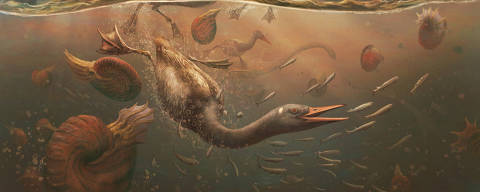 A Cretaceous Period bird called Vegavis iaai pursuit diving for fish in the shallow ocean off the coast of the Antarctic peninsula, with nautilus-like ammonites and marine reptiles called plesiosaurs nearby, about 69 million years ago, is seen in this illustration image released on February 5, 2025. Mark Witton/Handout via REUTERS THIS IMAGE HAS BEEN SUPPLIED BY A THIRD PARTY. NO RESALES. NO ARCHIVES. MANDATORY CREDIT. ORG XMIT: HFS-HNDSCI-01