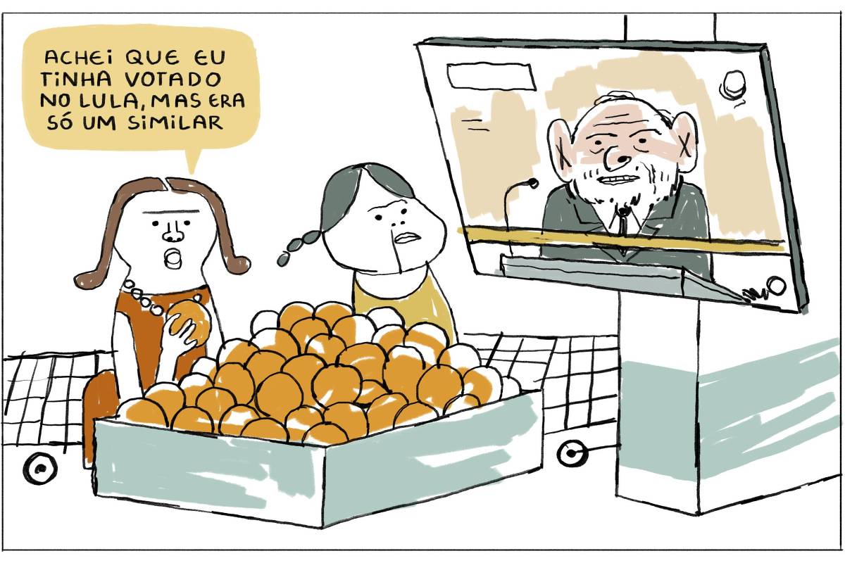 A imagem tem um quadro, ela mostra duas mulheres fazendo compras em um supermercado, elas se encontram em frente de uma pilha de laranjas e conversam enquanto observam o presidente Lula se pronunciando por uma televisão instalada em um pilar. A primeira mulher diz para a outra “Achei que eu tinha votado no Lula, mas era só um similar”