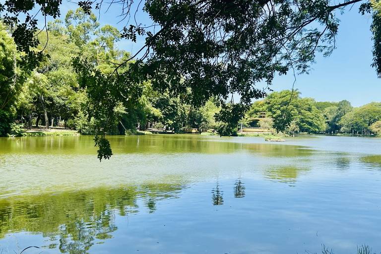 A imagem mostra um lago calmo cercado por árvores verdes. A água reflete o céu azul e a vegetação ao redor. Há algumas plantas emergindo da água， e a cena é iluminada pela luz do sol.