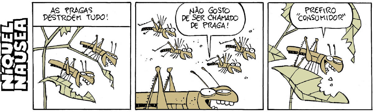 Quadrinho 01- Legenda: As pragas destroem tudo! Dois gafanhotos estão em uma planta, as folhas estão comidas. Quadrinho 02- Cinco gafanhotos estão voando. O que está em primeiro plano diz: Não gosto de ser chamado de praga! Quadrinho 03- Ele está pousado em um galho, devorando outra folha. Ele diz: Prefiro “consumidor”