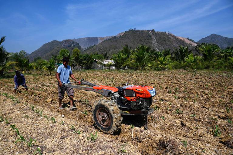 A imagem mostra dois trabalhadores em um campo agrícola. Um deles está operando um trator pequeno, enquanto o outro está agachado, possivelmente realizando alguma tarefa no solo. Ao fundo, há montanhas e uma vegetação densa, com árvores e plantas. O céu está claro e azul.