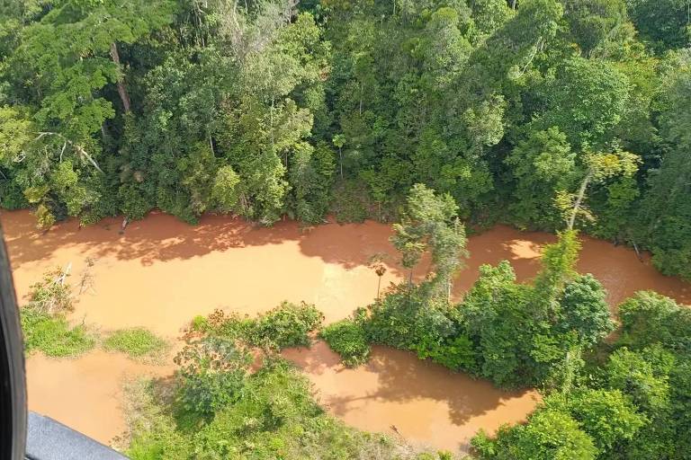 A imagem mostra uma vista aérea de um rio com águas de cor marrom， cercado por densa vegetação verde. A margem do rio é composta por árvores e arbustos， com algumas áreas de solo exposto. 