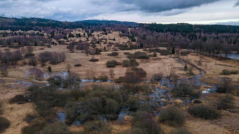 A imagem mostra uma vasta paisagem natural com áreas de vegetação baixa e arbustos. Há várias manchas de água visíveis， com um pequeno curso d039;água serpenteando pela cena. O céu está nublado， e a vegetação ao fundo é composta por árvores dispersas， algumas das quais estão sem folhas， indicando uma possível estação de outono ou inverno. A área parece ser uma planície ou vale， com uma colina ao fundo.