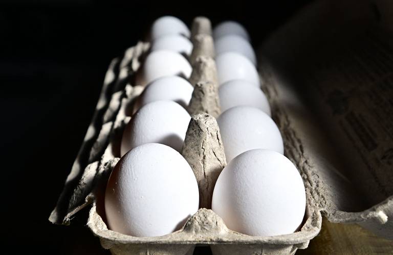 A imagem mostra uma cartela de ovos brancos, com doze ovos dispostos em uma embalagem de papelão. A iluminação é suave, destacando a textura dos ovos e da cartela, enquanto o fundo é escuro.