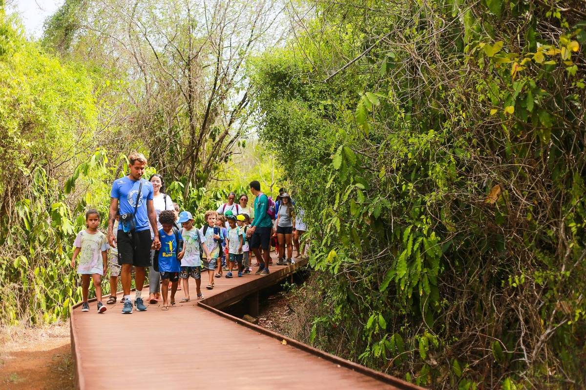 Programa transforma crianças de Fernando de Noronha em agentes da preservação ambiental