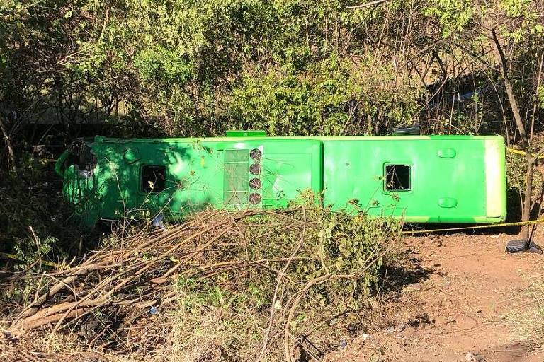 A imagem mostra um container verde deitado em um terreno coberto por vegetação. O container possui janelas em ambos os lados e uma escada encostada em sua lateral. A área ao redor é composta por arbustos e árvores， indicando um ambiente natural.