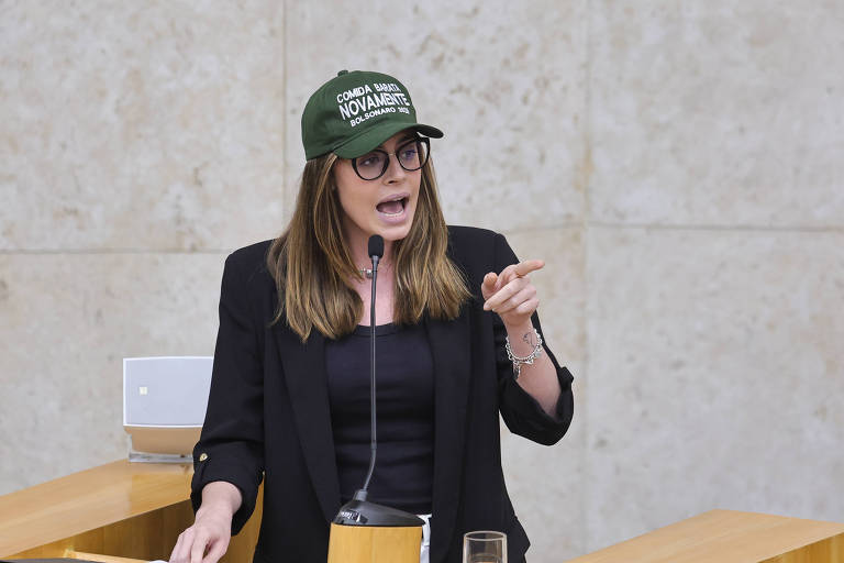 Uma mulher com cabelo longo e liso， usando óculos e um boné verde， está em pé em um púlpito， gesticulando enquanto fala. Ela veste uma blusa preta e um blazer. O ambiente parece ser uma câmara legislativa， com paredes de pedra e uma mesa de madeira à sua frente.