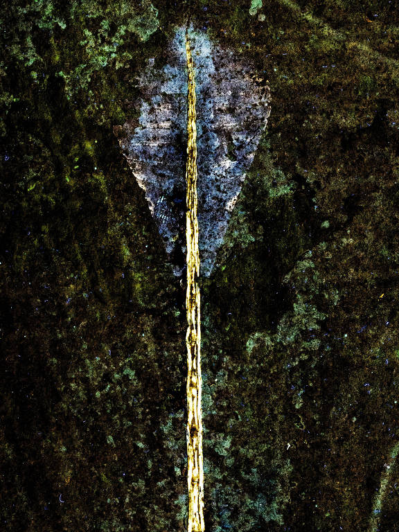 A imagem mostra uma cauda de pterossauro com uma ponta larga e afilada， em um fundo escuro. A estrutura na ponta da cauda é predominantemente azul com detalhes em dourado， e o fundo apresenta uma textura que sugere uma superfície natural ou orgânica.