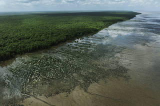 PETROLEO NA AMAZONIA