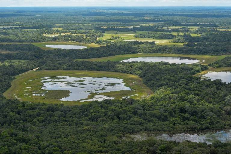 Imagem aérea de uma área natural com várias lagoas cercadas por vegetação densa. A paisagem apresenta diferentes tonalidades de verde， com algumas áreas de água refletindo o céu. Ao fundo， é possível ver uma extensão de campos e florestas.