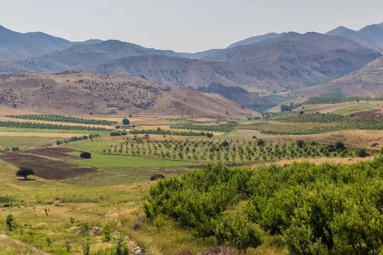 A imagem mostra uma vasta paisagem rural com campos verdes e árvores dispostas em fileiras. Ao fundo， há montanhas cobertas por vegetação. A cena é iluminada por uma luz suave， sugerindo um dia claro. O solo apresenta áreas de diferentes tonalidades， incluindo partes secas e outras mais verdes.