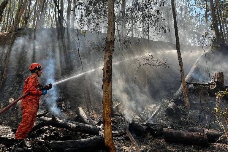 A imagem mostra um bombeiro vestido com um uniforme laranja， utilizando uma mangueira para combater um incêndio florestal. Ao fundo， há fumaça e árvores queimadas， com um terreno acidentado e restos de troncos no chão.