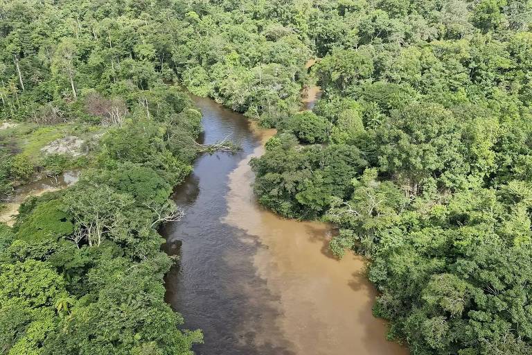 Imagem aérea de um rio serpenteando através de uma densa floresta tropical. O rio apresenta águas de coloração marrom， cercado por vegetação verdejante e árvores altas. A paisagem é rica em folhagens， com diferentes tonalidades de verde， e algumas áreas de solo exposto visíveis nas margens do rio.