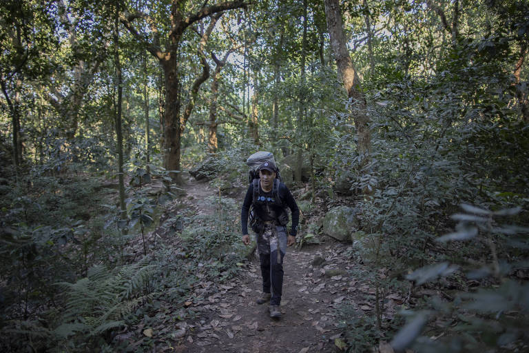 Um homem está caminhando por um trilha em uma floresta densa. Ele carrega uma mochila grande nas costas e está vestido com roupas de caminhada. A vegetação ao redor é verde e abundante， com árvores altas e folhagens. O caminho é de terra e está cercado por plantas e arbustos.