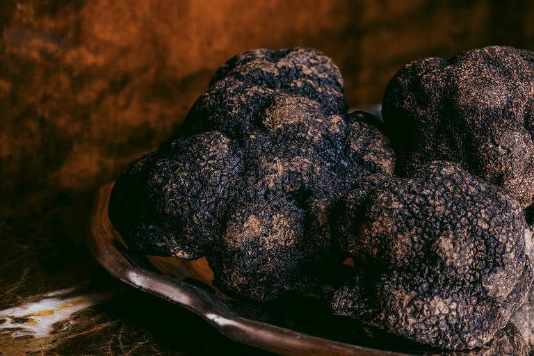 A imagem mostra um prato de metal contendo várias trufas negras, que são fungos com uma superfície rugosa e escura. O fundo da imagem é de uma cor marrom, criando um contraste com as trufas.