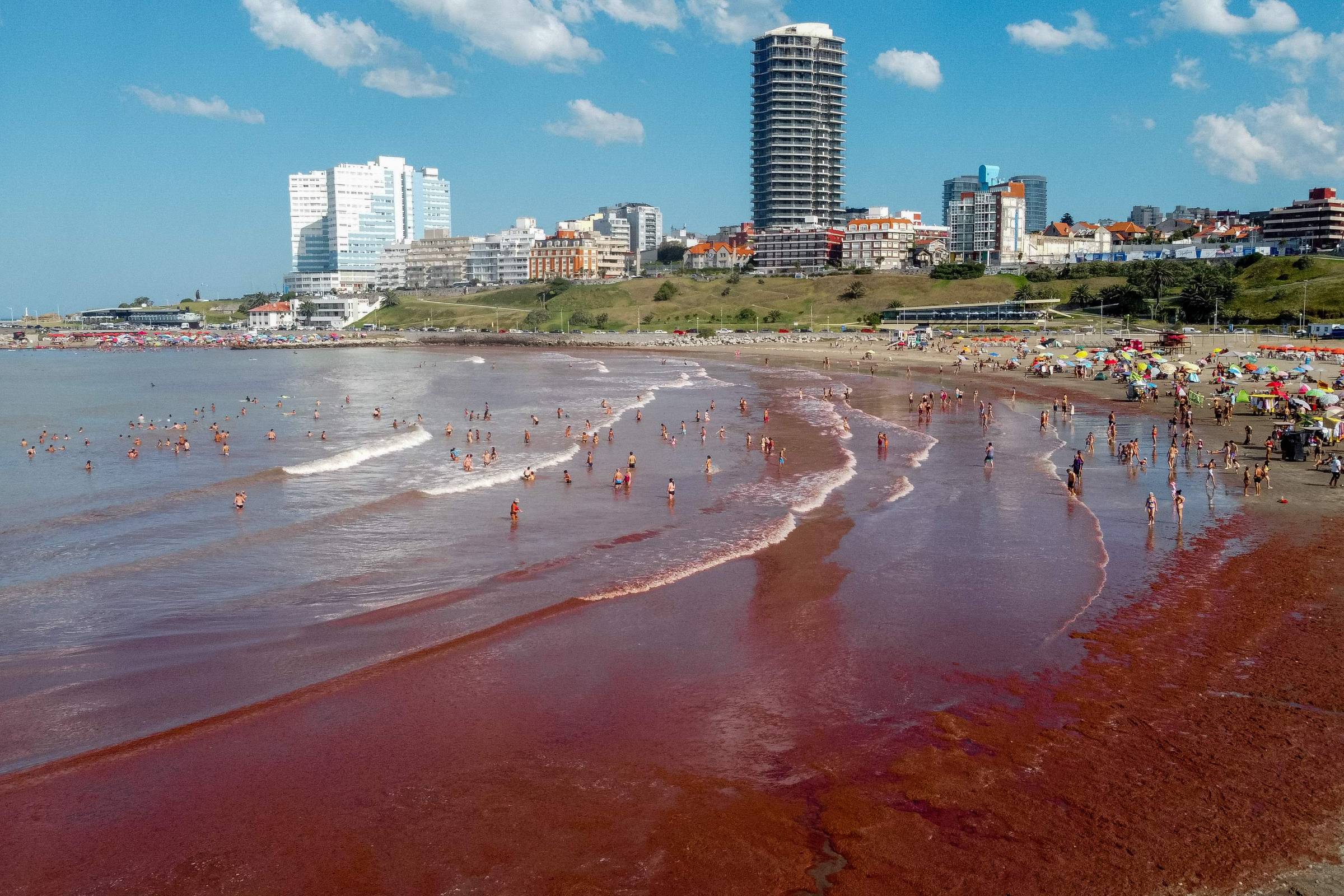 Algas tingem praias da Argentina de vermelho; veja fotos