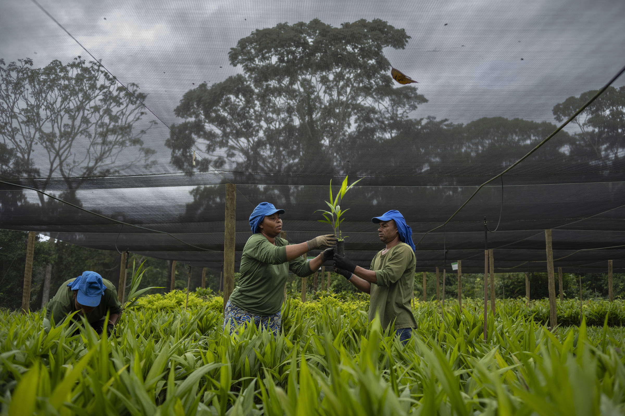 Empreendedor Social abre inscrições em clima de COP 30