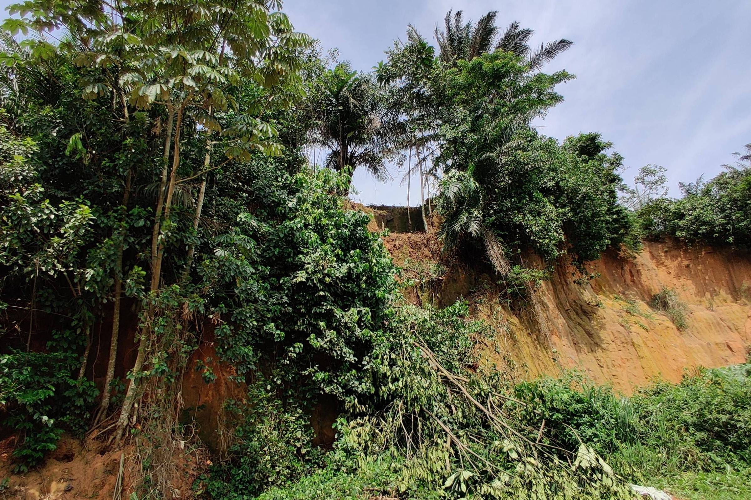 Homo sapiens já viveria em florestas tropicais na África há 150 mil anos