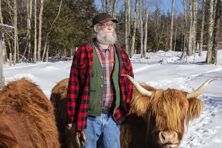 Um homem de barba longa e grisalha， usando um chapéu e uma camisa xadrez vermelha e preta， está em pé ao lado de duas vacas de pelagem longa e dourada em um ambiente coberto de neve. Ao fundo， há árvores sem folhas e um céu claro.